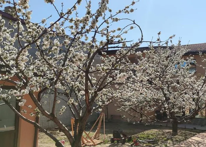 شقة Naya بوخارست