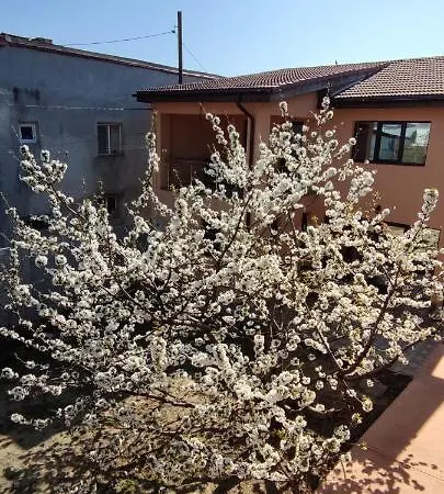 Naya * Bukarest