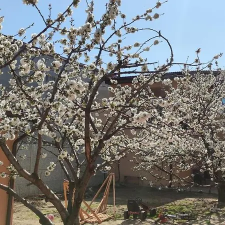 Apartament Naya Bukareszt